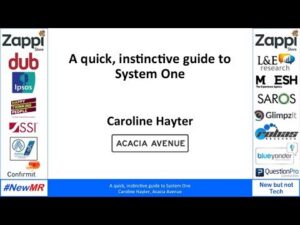 A quick, instinctive guide to System One
