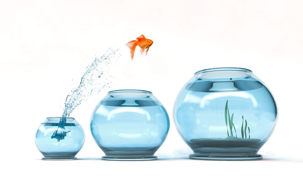 New Thinking in Qualitative Research